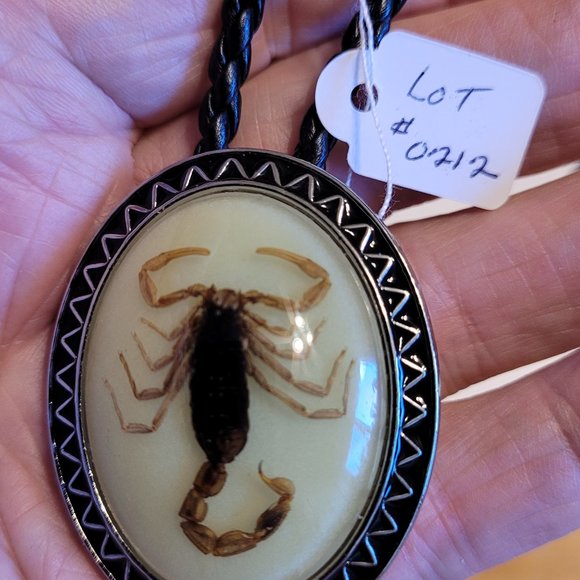 Bolo Tie - Picture 9 of 13